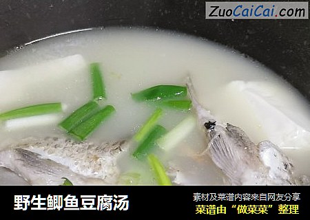 野生鲫鱼豆腐汤