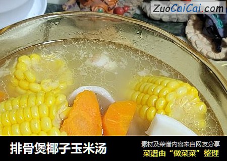 排骨煲椰子玉米汤