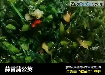 蒜香蒲公英