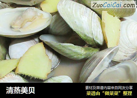 清蒸美贝