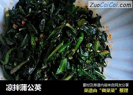 凉拌蒲公英