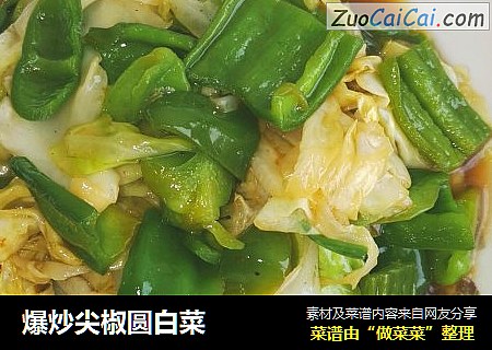 爆炒尖椒圆白菜