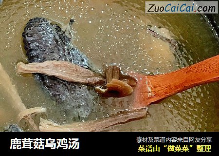 鹿茸菇乌鸡汤