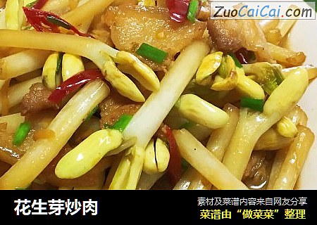花生芽炒肉