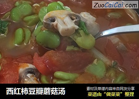 西红柿豆瓣蘑菇汤