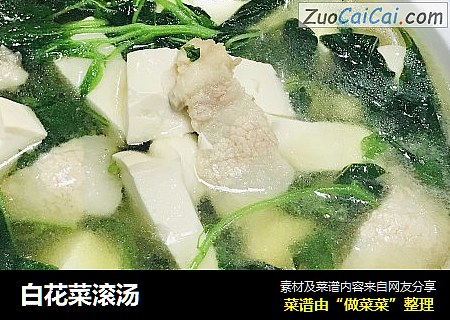 白花菜滚汤