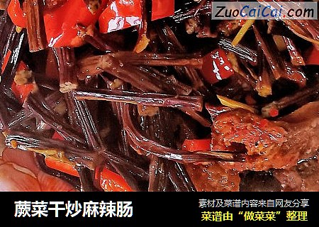 蕨菜干炒麻辣肠