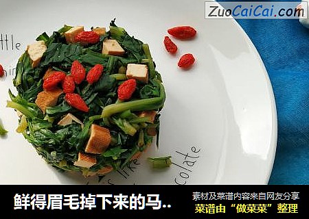 鲜得眉毛掉下来的马兰头拌香干