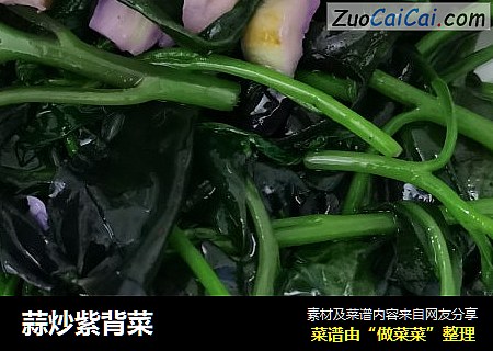 蒜炒紫背菜