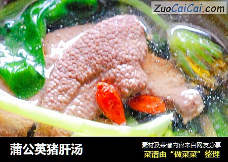 蒲公英猪肝汤