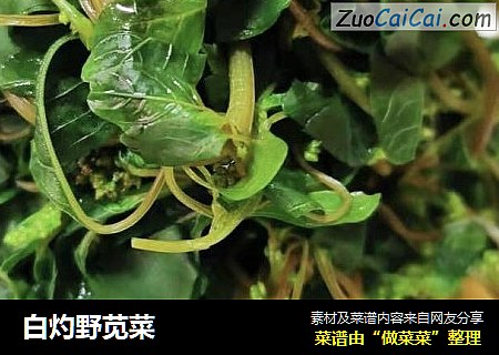 白灼野苋菜