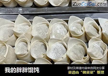 我的胖胖馄饨