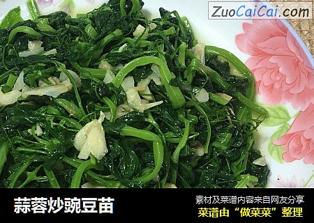 蒜蓉炒豌豆苗
