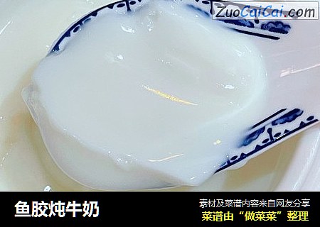鱼胶炖牛奶