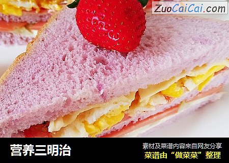 营养三明治