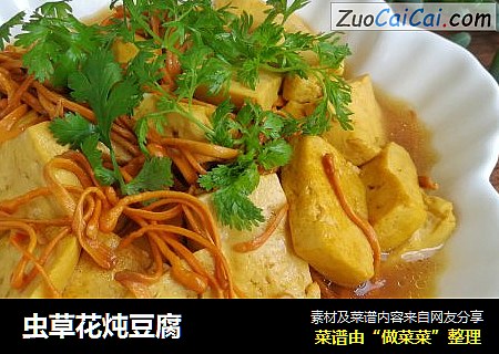 虫草花炖豆腐
