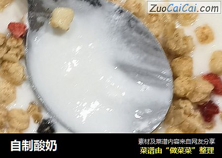 自制酸奶