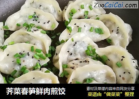 荠菜春笋鲜肉煎饺