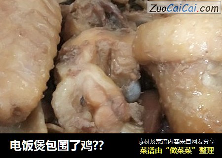 电饭煲包围了鸡？