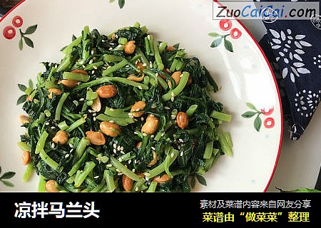 凉拌马兰头