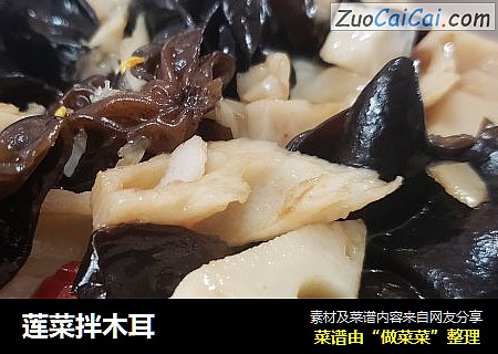 莲菜拌木耳
