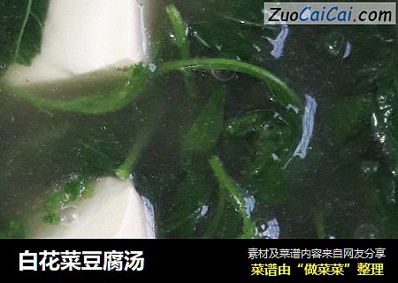 白花菜豆腐汤