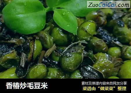 香椿炒毛豆米
