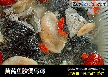黄芪鱼胶煲乌鸡