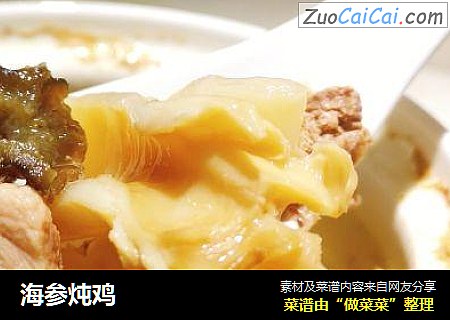 海参炖鸡