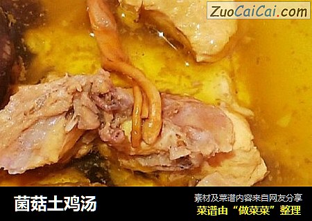 菌菇土鸡汤