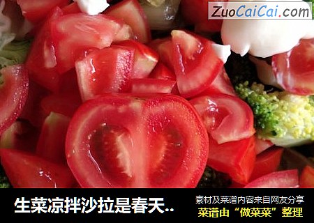 生菜凉拌沙拉是春天的味道