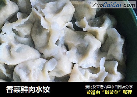香菜鲜肉水饺