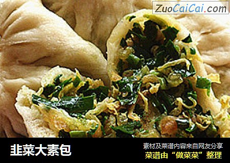 韭菜大素包