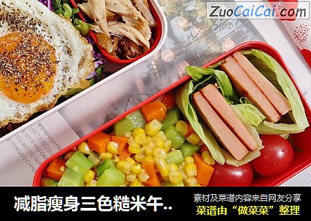 减脂瘦身三色糙米午餐便当