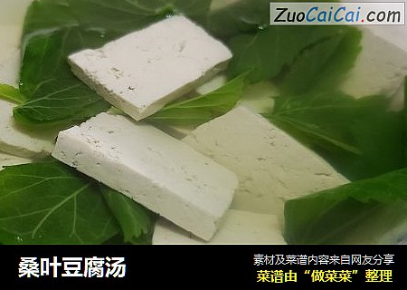 桑叶豆腐汤