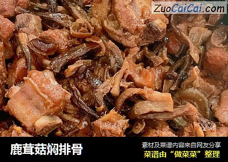 鹿茸菇焖排骨