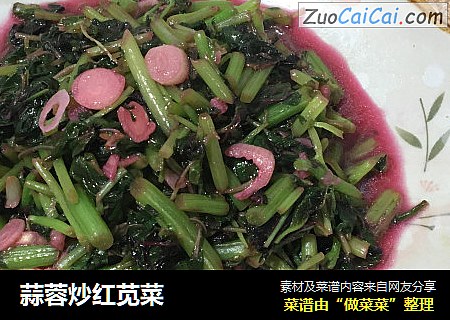蒜蓉炒红苋菜
