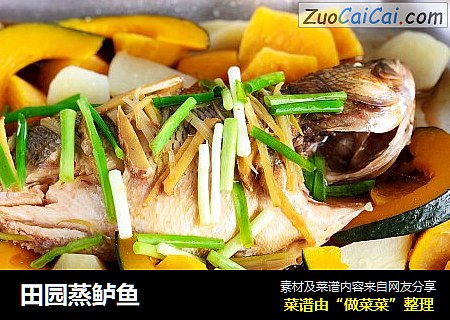 田园蒸鲈鱼