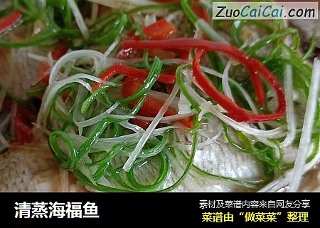 清蒸海福鱼
