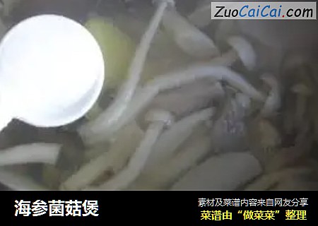 海参菌菇煲