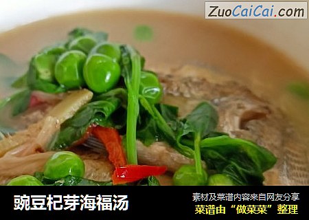 豌豆杞芽海福汤