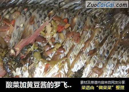 酸菜加黄豆酱的罗飞鱼??