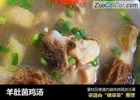 羊肚菌鸡汤
