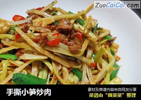 手撕小笋炒肉