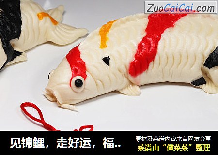见锦鲤，走好运，福气满满，心想事成~