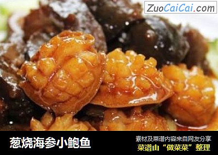 葱烧海参小鲍鱼