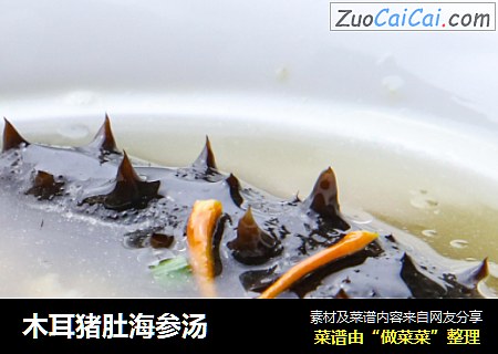 木耳猪肚海参汤
