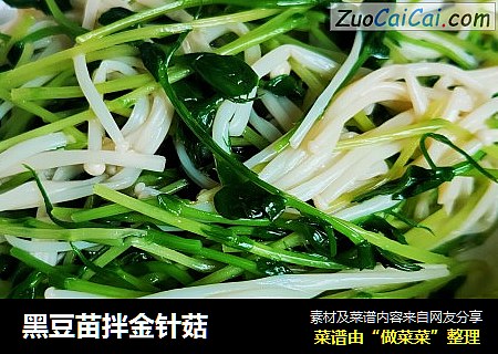 黑豆苗拌金针菇