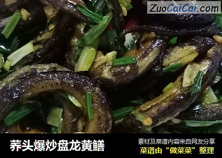 荞头爆炒盘龙黄鳝