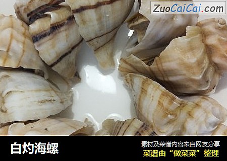 白灼海螺